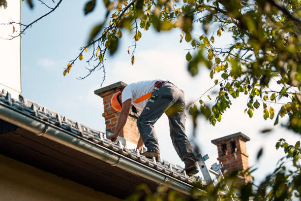 Best Roof Maintenance Services  in Gerdine, AL