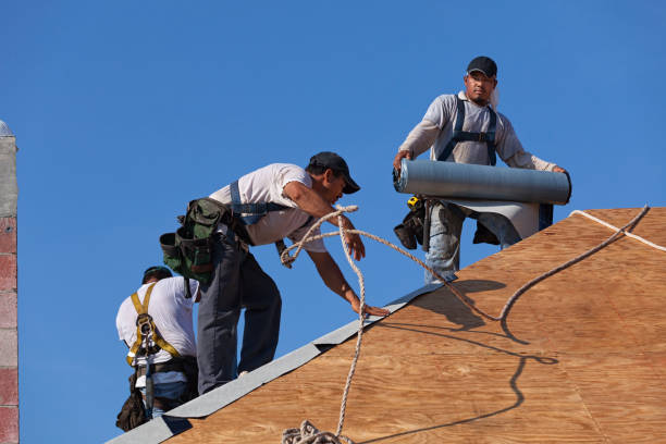 Best Storm Damage Roof Repair  in Gerdine, AL