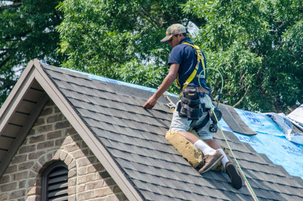 Best New Roof Installation  in Gerdine, AL